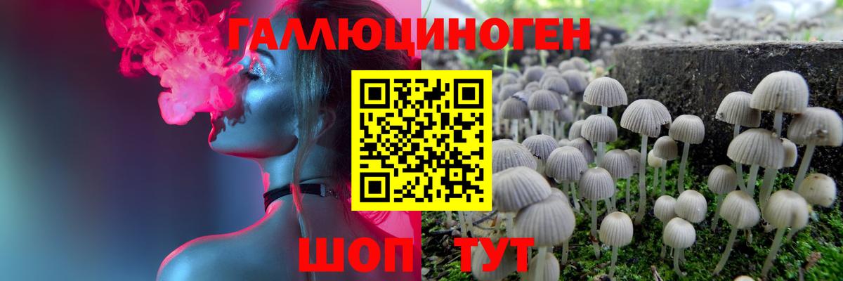 Псилоцибиновые грибы Magic Shrooms Балтийск