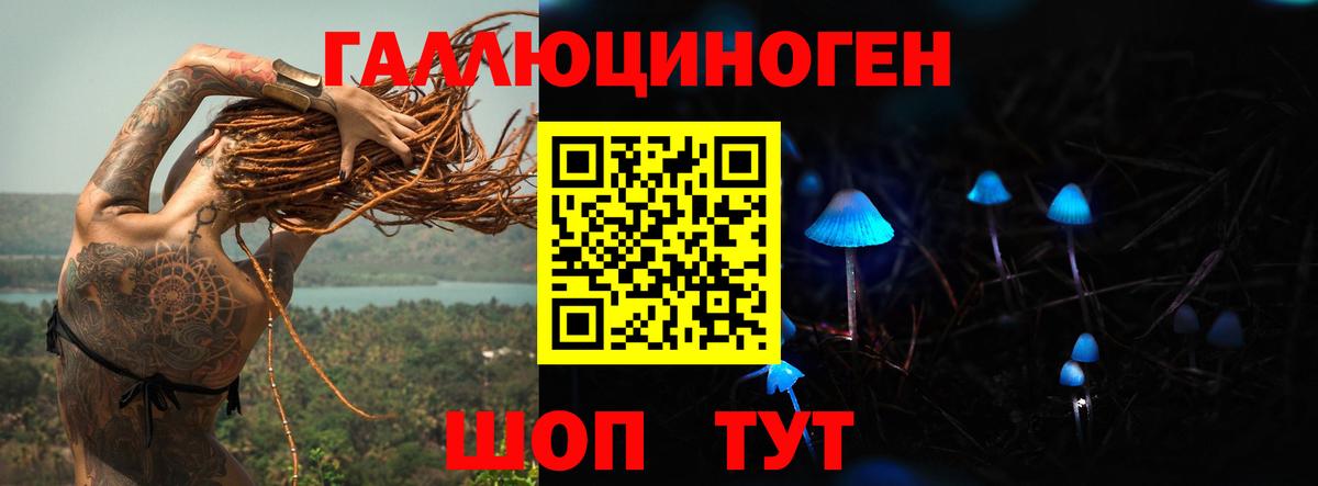 Псилоцибиновые грибы Psilocybe  Псилоцибиновые грибы Psilocybe  Вход с VPN  Балтийск 